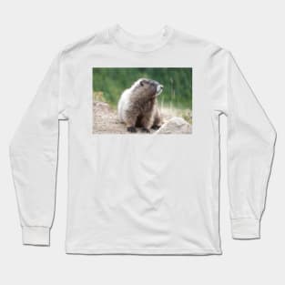 Hoary marmot (Marmota caligata) in Mount Rainier National Park Long Sleeve T-Shirt